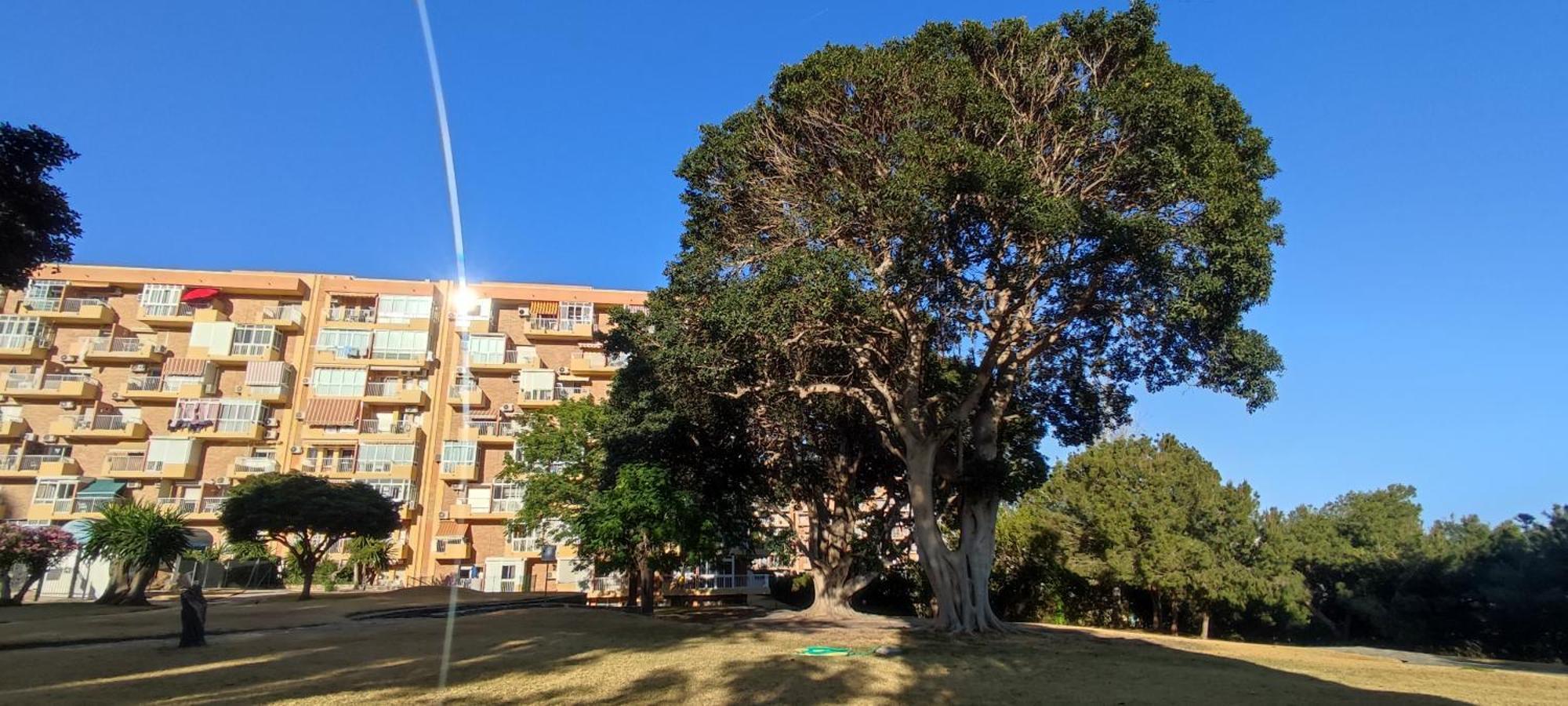 Apartamento Aguila, Arroyo De La Miel, Benalmádena Esterno foto